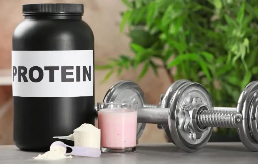 10 Best Low Sugar Protein Shakes in South Africa
