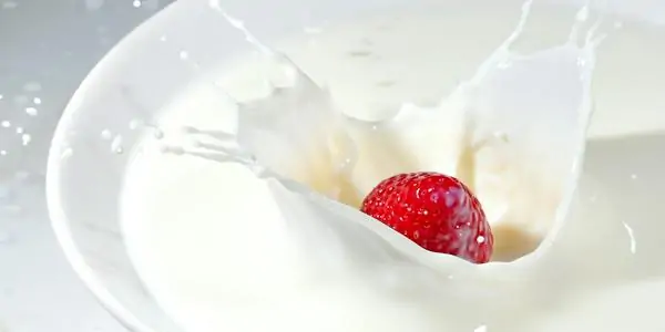 Fat Free