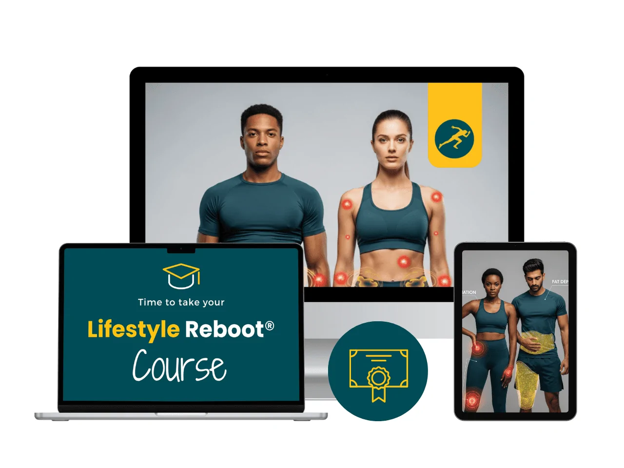 Lifestyle Reboot Academy Inflammation & Fat